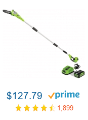 best pole saws